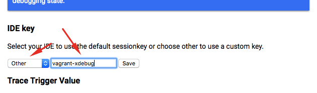Debug Extension idekey